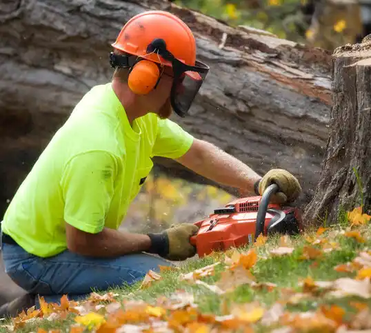 tree services Hatch